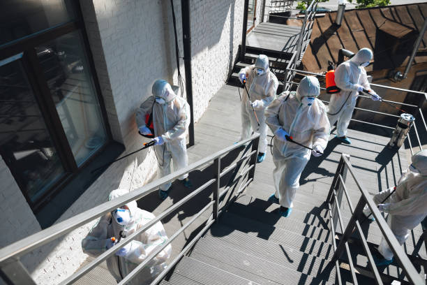 Cumings, TX Mold Removal Company