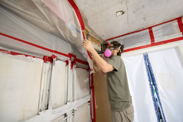 Best Air Quality Testing for Mold Spores  in Cumings, TX