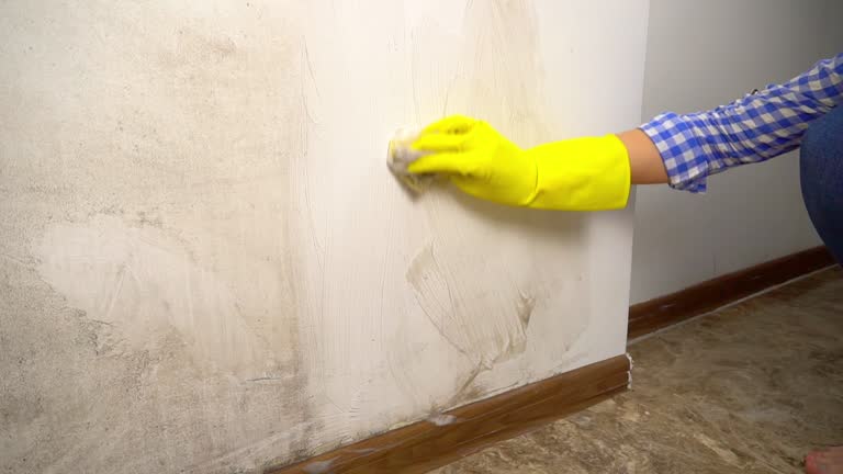 Best Mold Odor Removal Services  in Cumings, TX