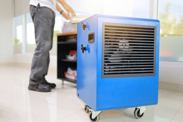  Cumings, TX Mold Removal Pros