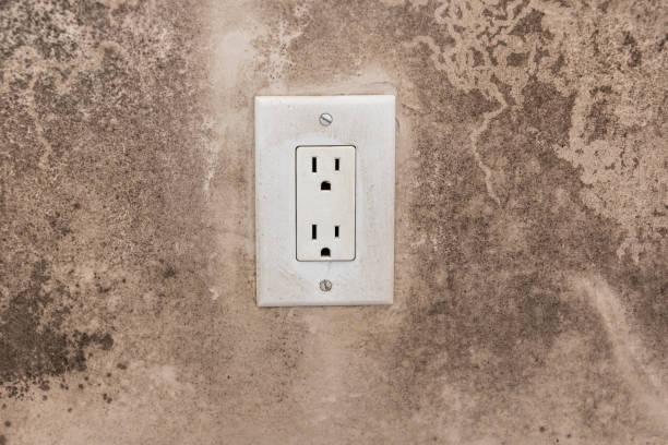 Best Mold Removal for HVAC Installations  in Cumings, TX